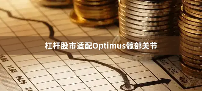 杠杆股市适配Optimus髋部关节
